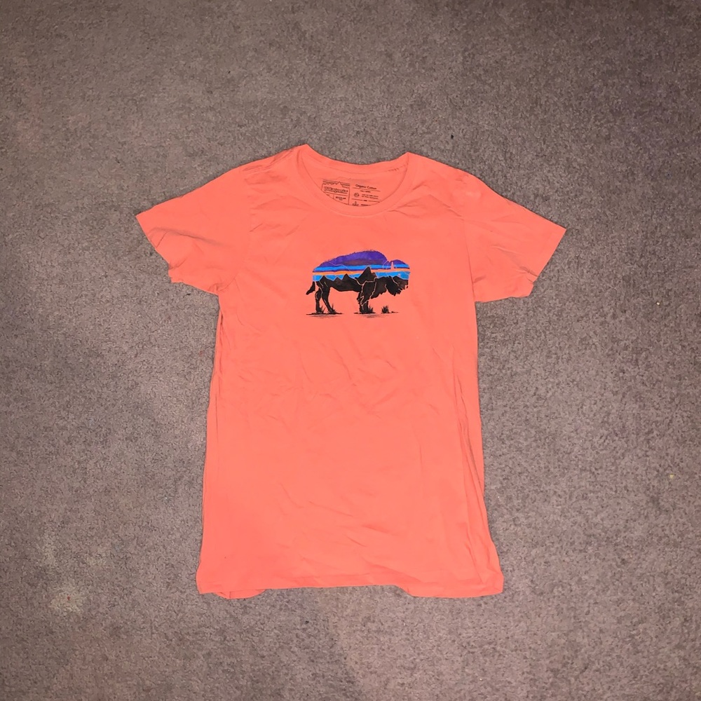 Patagonia T-Shirt